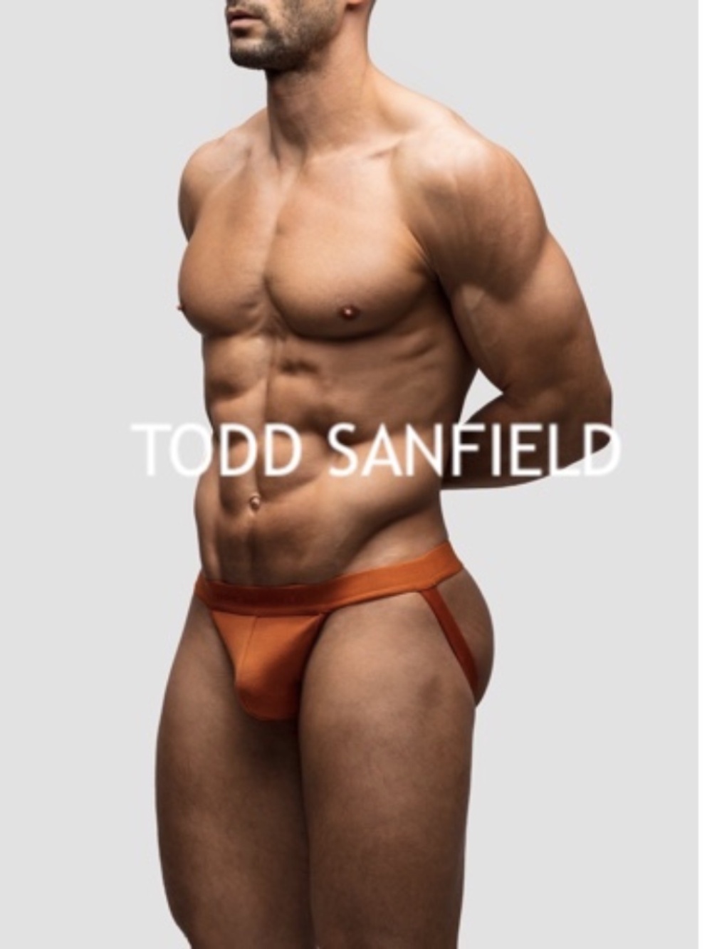 Todd Sanfield Jock 36-42" waist Cotton/nylon/spandex No size or fabric tags